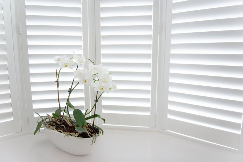 Shutter Mounting in Denver, CO